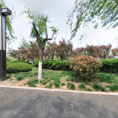 马拉松绿荫跑道