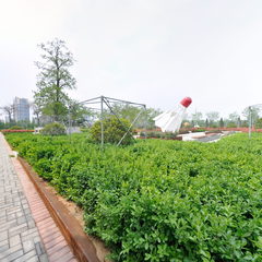 羽毛球标志