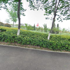 雕塑公园林荫观光大道