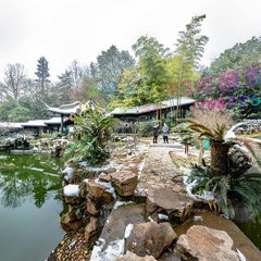 水池